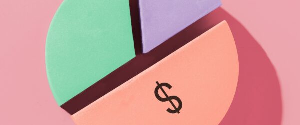 Colorful pie chart with dollar sign