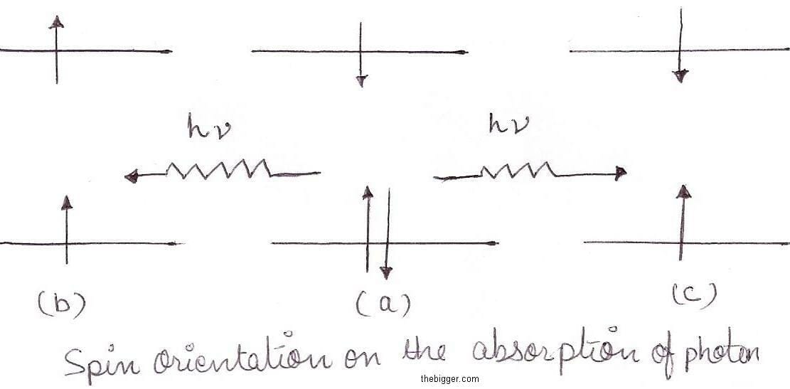 Spin Orientation on the absortion of a ligh photon