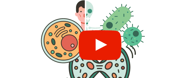 best biology youtube channels